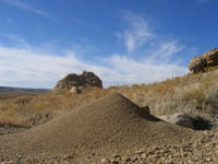 Ant hill, Grassy Trail Creek area