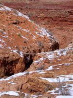 Moonshine Wash Sheep Bridge