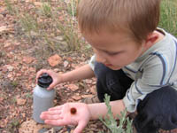 Michael holding a caterpillar