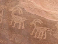 Big Hole Petroglyphs